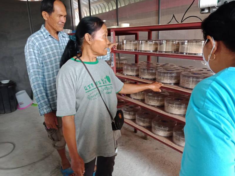 4. กิจกรรมการเลี้ยงแตนเบียนและการทำน้ำหมักสังเคราะห์แสง วันที่ 20 - 21 กุมภาพันธ์ 2561  ณ ศาลาประชาคมบ้านวังสระทอง ต.หนองหลวง อ.ลานกระบือ จ.กำแพงเพชร